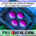 ¿Para Qué Se Utiliza El Milagro De La Miel De Leopardo 04